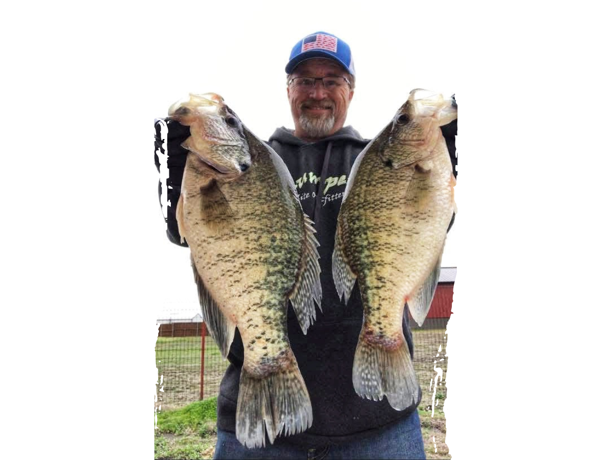 Brad Cooper showcasing two large crappie fish, wearing a dark hoodie and a patriotic blue cap, standing in an outdoor setting.