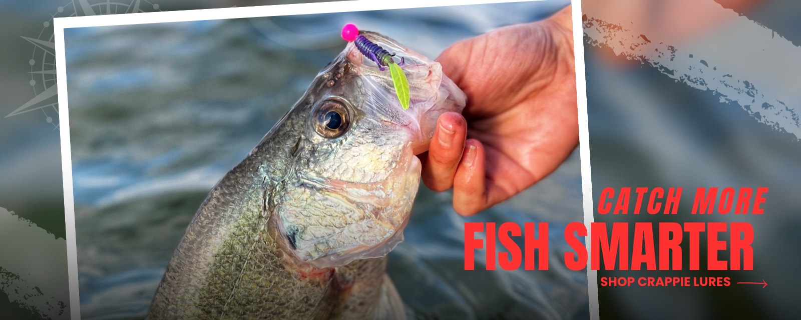 A close-up of a crappie fish being held by hand with a Thermocline Lures jig in its mouth, promoting effective fishing lures for crappie fishing.