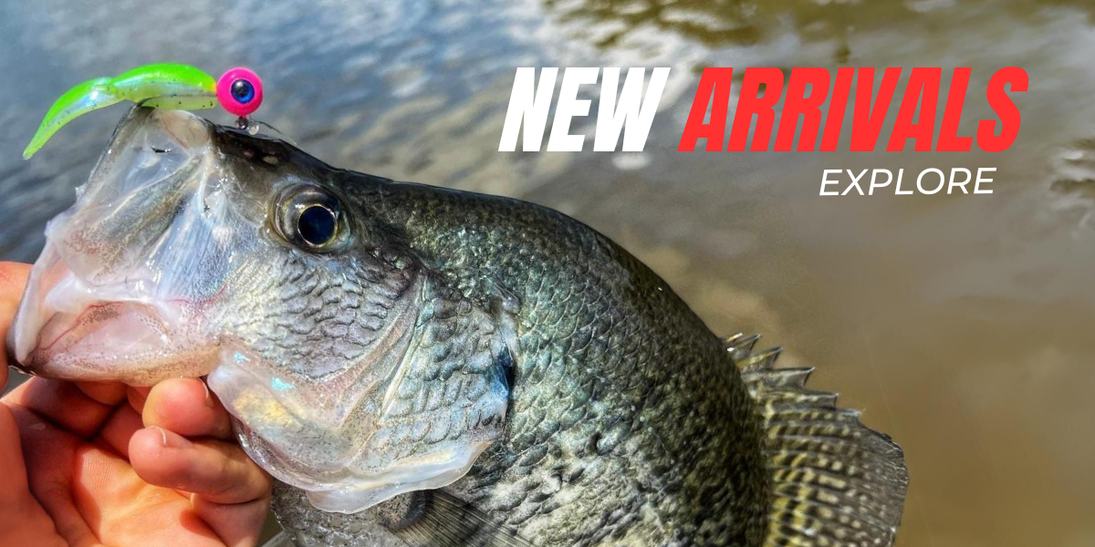 A crappie fish caught with a bright green Thermocline Lures jig, highlighting new arrivals in the fishing lure collection.
